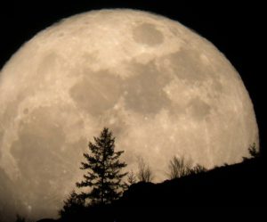 
                        ابر ماه امشب ساعت چند است ۲۰ مرداد | امشب ماه چگونه است + ماه گرفتگی                    